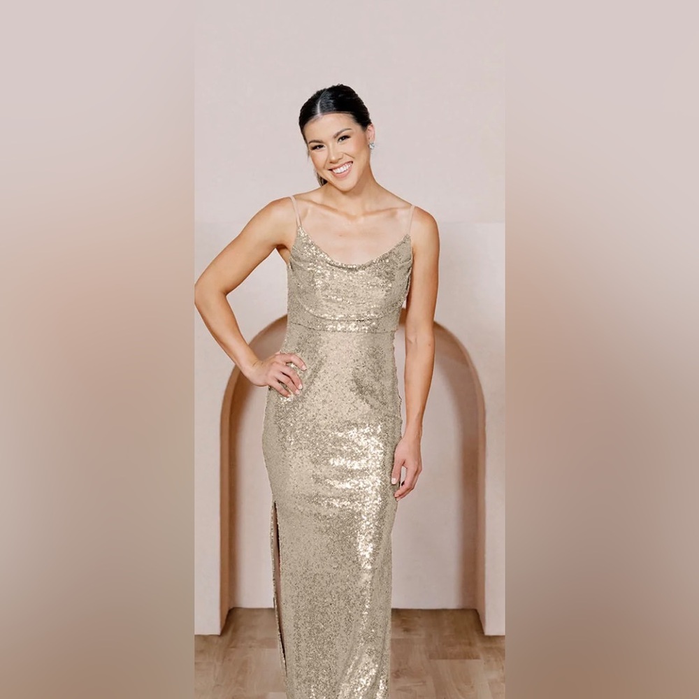 NWT Revelry Skye Sequin Dress Gold